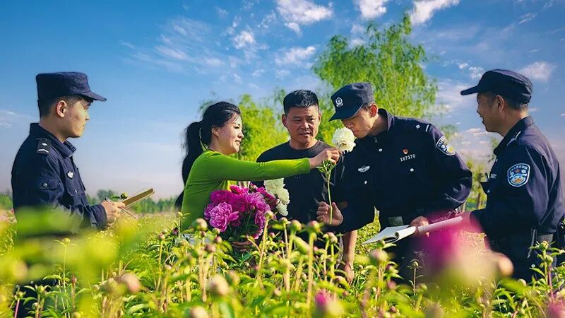 深耕“芍·药警务” 护航特色产业 山东省菏泽市鄄城县公安局彭楼派出所筑牢乡村振兴平安防线 